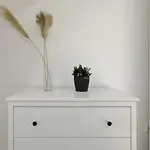 דירה 'traveller Lodge' Grosszuegiges - 3 Bedroom 10min To Hbf, Full Kitchen, Homeoffice, Netflix, Wifi דיסלדורף