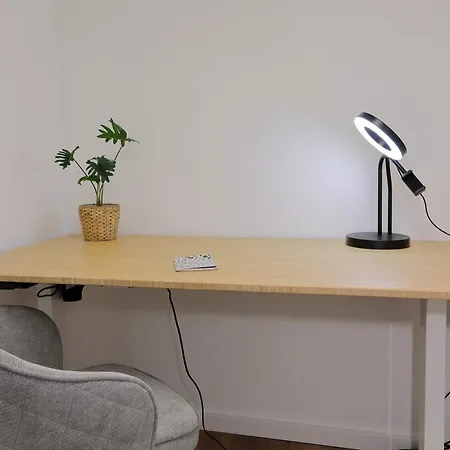 Apartment 'traveller Lodge' Großzügiges - 3 Br, 10min To Hbf, Full Kitchen, Homeoffice, Netflix, Wifi