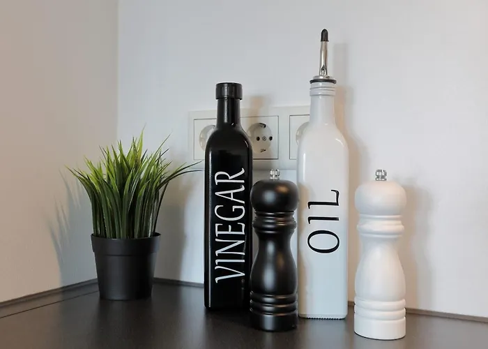 'traveller Lodge' Grosszuegiges - 3 Bedroom 10min To Hbf, Full Kitchen, Homeoffice, Netflix, Wifi Apartament *